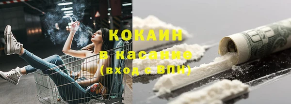 Альфа ПВП Пересвет