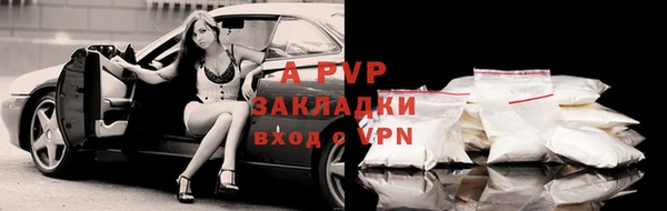 Альфа ПВП Пересвет