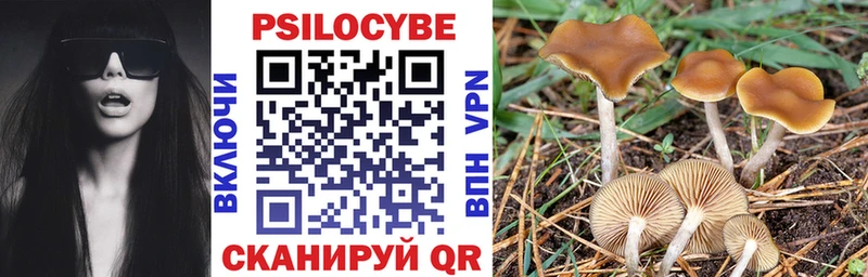 Купить где  Северо-Курильск  Галлюциногенные грибы Magic Shrooms 